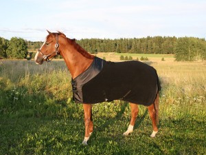 2110_Fleecedecke Supreme_2_web